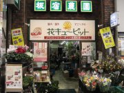 「板宿農園」　（兵庫県神戸市須磨区）の花屋店舗写真1